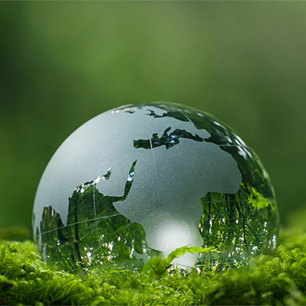 Eine gläserne Erde, die auf grünem Moos liegt, symbolisiert die Verbindung zwischen Mensch und Natur. Die Konturen der Kontinente sind schemenhaft sichtbar, wodurch die Zerbrechlichkeit unseres Planeten betont wird.